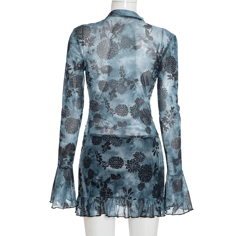 Sexy Slim Fit Mesh Mini Dress with V Neck and Long Sleeves