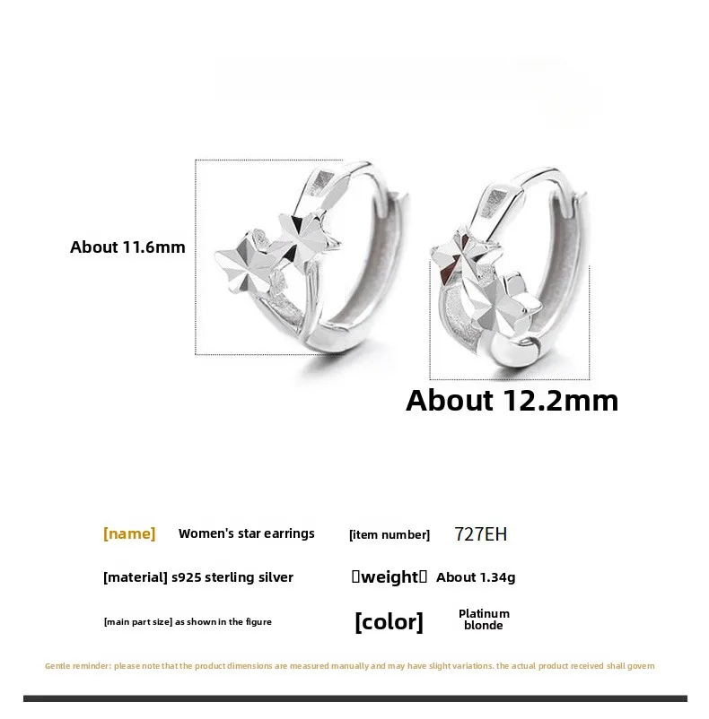 Silver Star Earrings for Women Featuring 925 Sterling Silver Ear Pins size guide